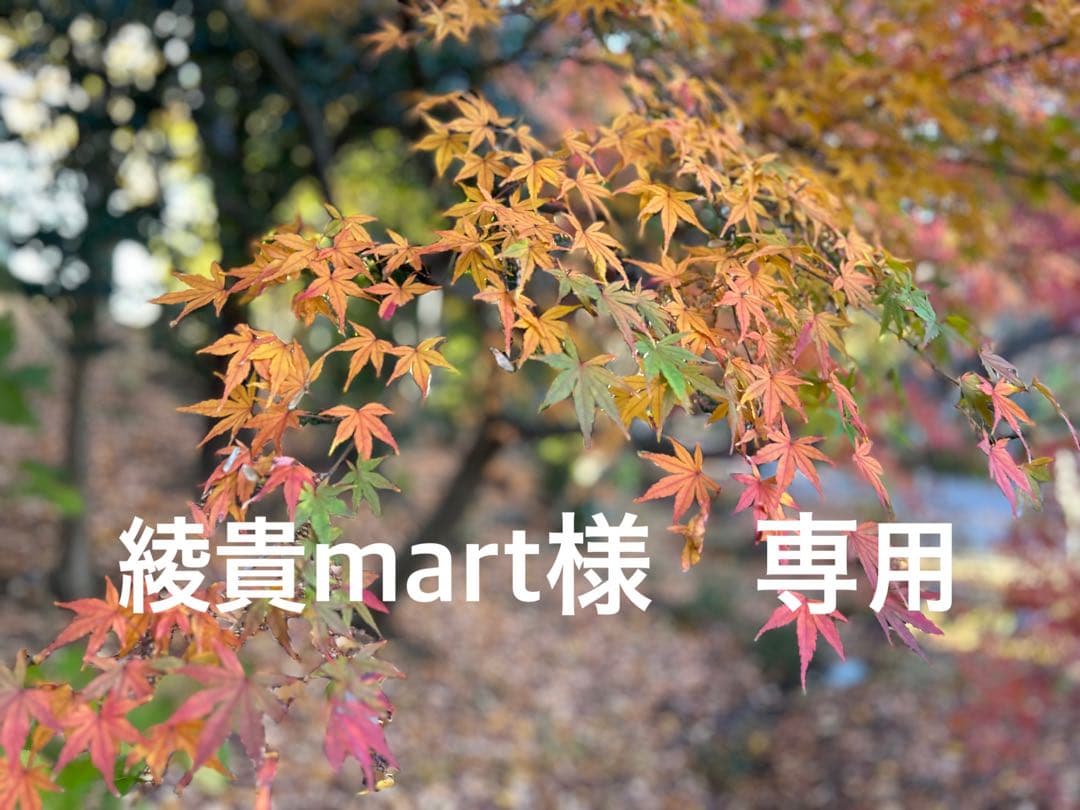 Panasonic 単機能レンジ NE-ILC1W 2025年製 Panasonic】単機能レンジ NE-FL1C-W