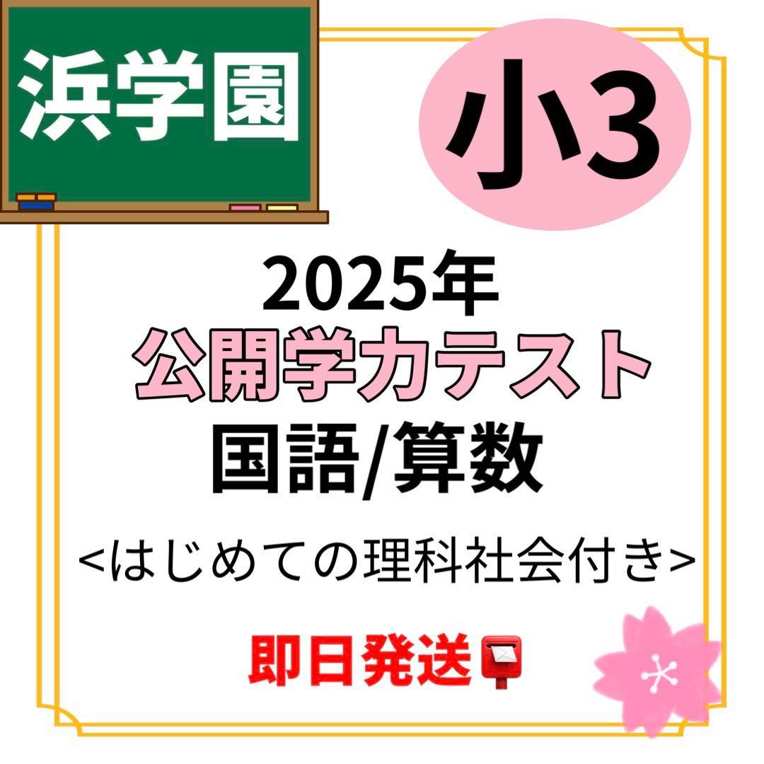 浜学園 公開学力テスト2025年 小3 国語算数 理科社会付 即発送 - メルカリ