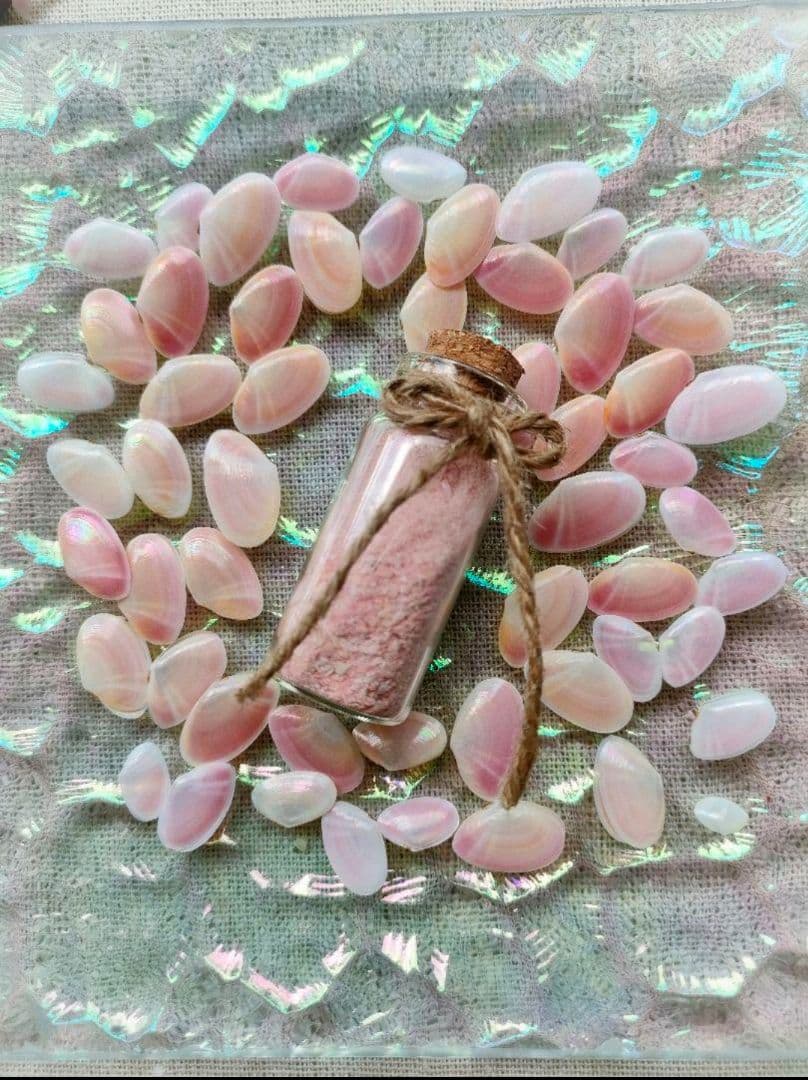 石川県産】しあわせを呼ぶ…桜貝ownersselection＋貝殻の詰合せ - メルカリ