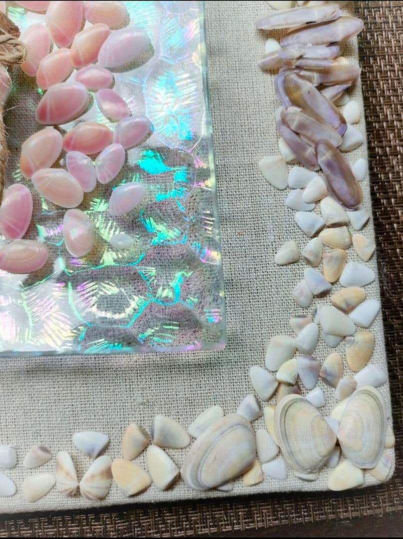 石川県産】しあわせを呼ぶ…桜貝ownersselection＋貝殻の詰合せ - メルカリ