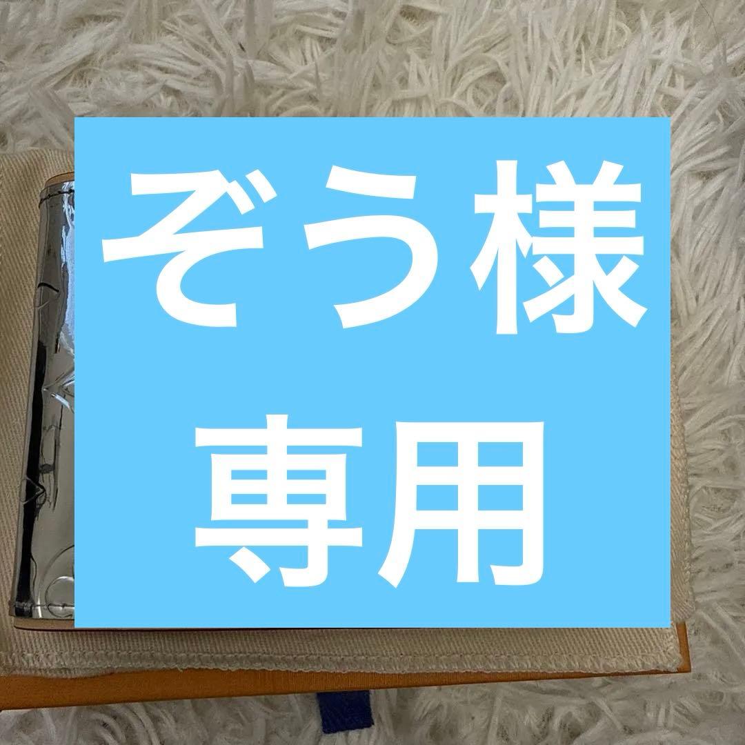 LOUIS VUITTON ミラーラインAW2021限定 二つ折り財布 シルバー シルバーカラーの Louis Vuitton ポルトフォイユ ヴィクトリーヌ