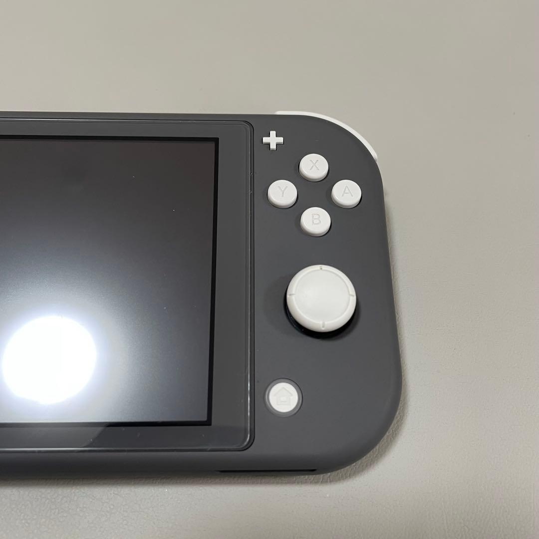 Nintendo Switch Lite グレー 本体 充電器 ケース付き - メルカリ