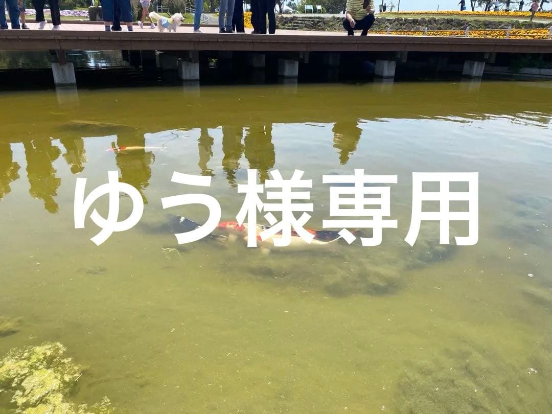 【両耳用】プラシーボピアス 701(YW) シルバー925 / 18Kポスト CAREERING - 【両耳用】プラシーボピアス PLACEBO 701(YW) シルバー925