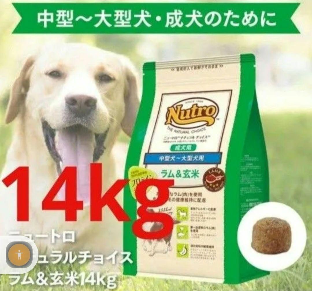 ニュートロナチュラルチョイスラム＆玄米中型犬大型犬成犬用 14kg ニュートロ ナチュラル チョイス ラム＆玄米 中型〜大型犬 成犬 13.5kg
