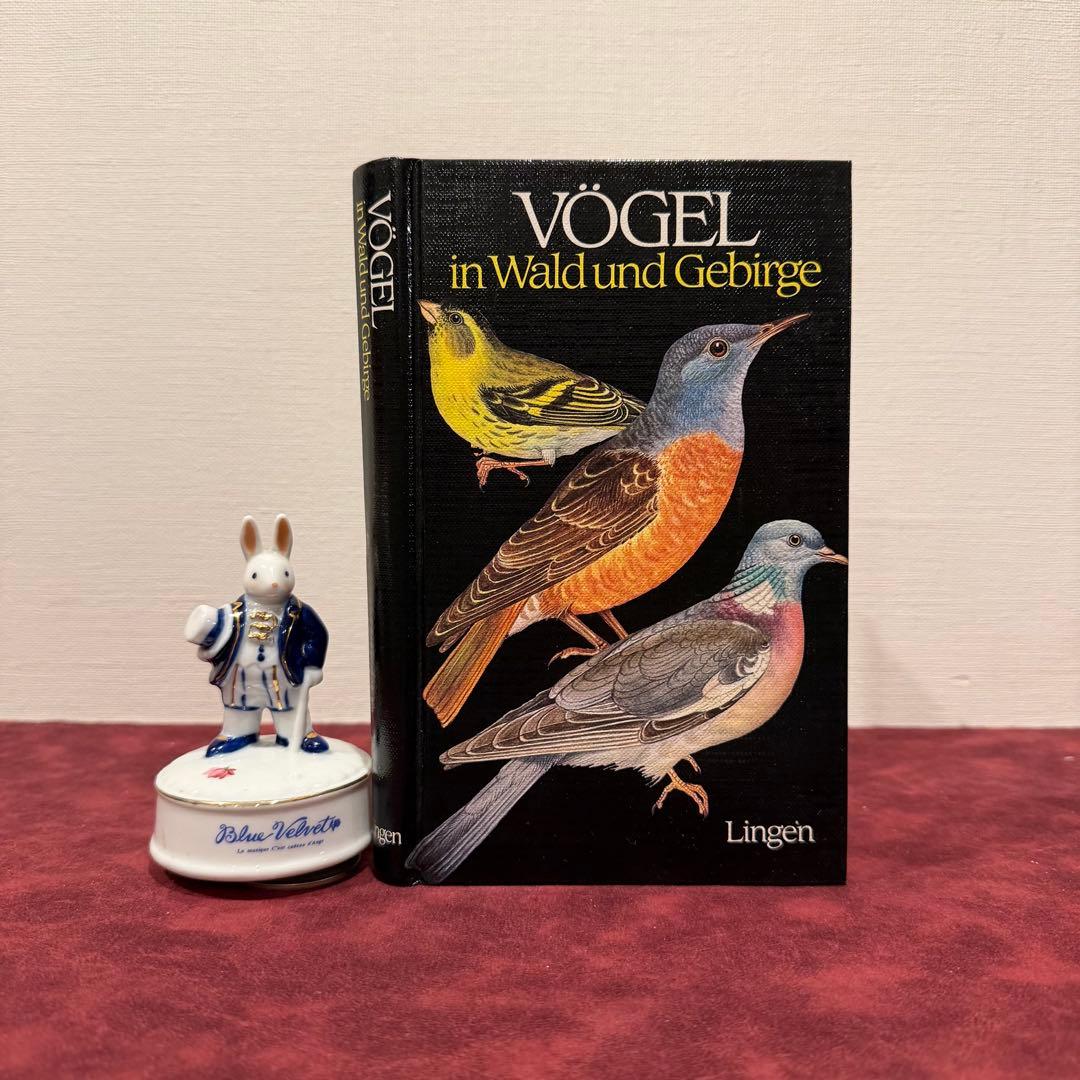 223B③1988年ドイツ語版鳥図鑑 洋書古書 ジャンクジャーナル ボタン