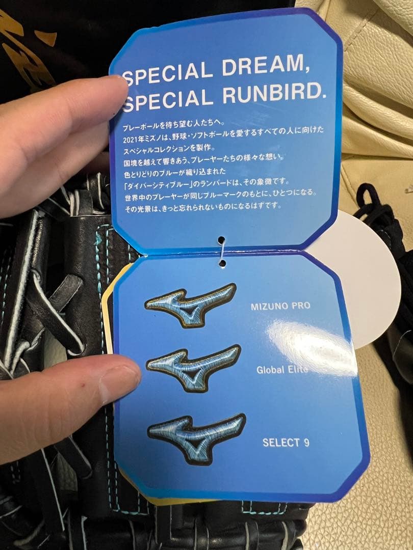 箱付き 硬式 限定 ミズノプロ ダイバーシティー ファーストミット タグ