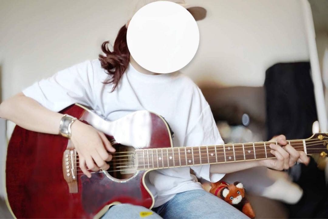 美品 Takamine DMP551C アコースティックギター 生産完了品 Takamine DMP551C WR｜ミュージックランドKEY