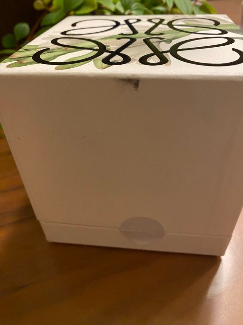 新品未使用】LEWE ロエベフレグランスキャンドル チューべローズS 170g