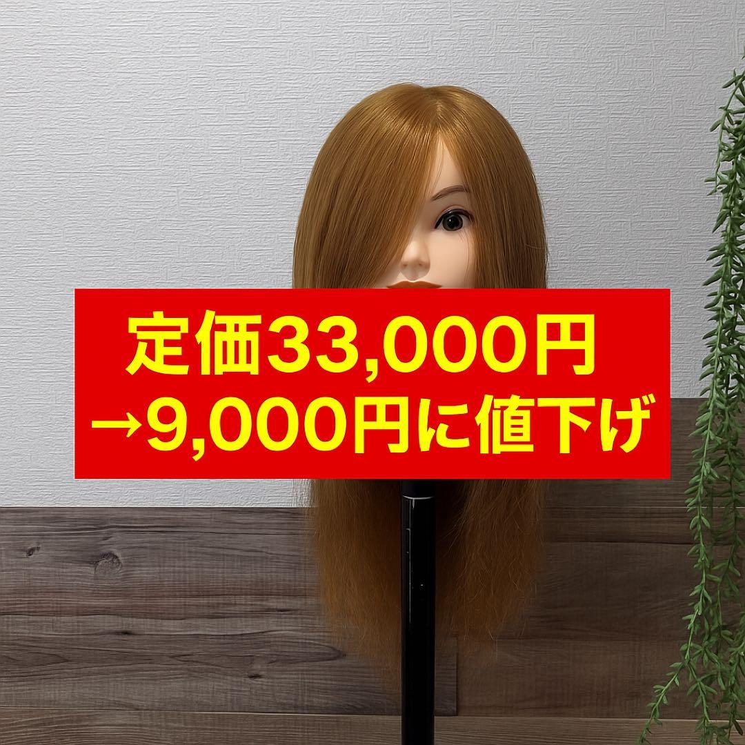 アイビル アップウィッグ ＃295 ブラウン 人毛100％ アイビル(AIVIL) アップウィッグ #295 ブラウンの通販｜美セラ