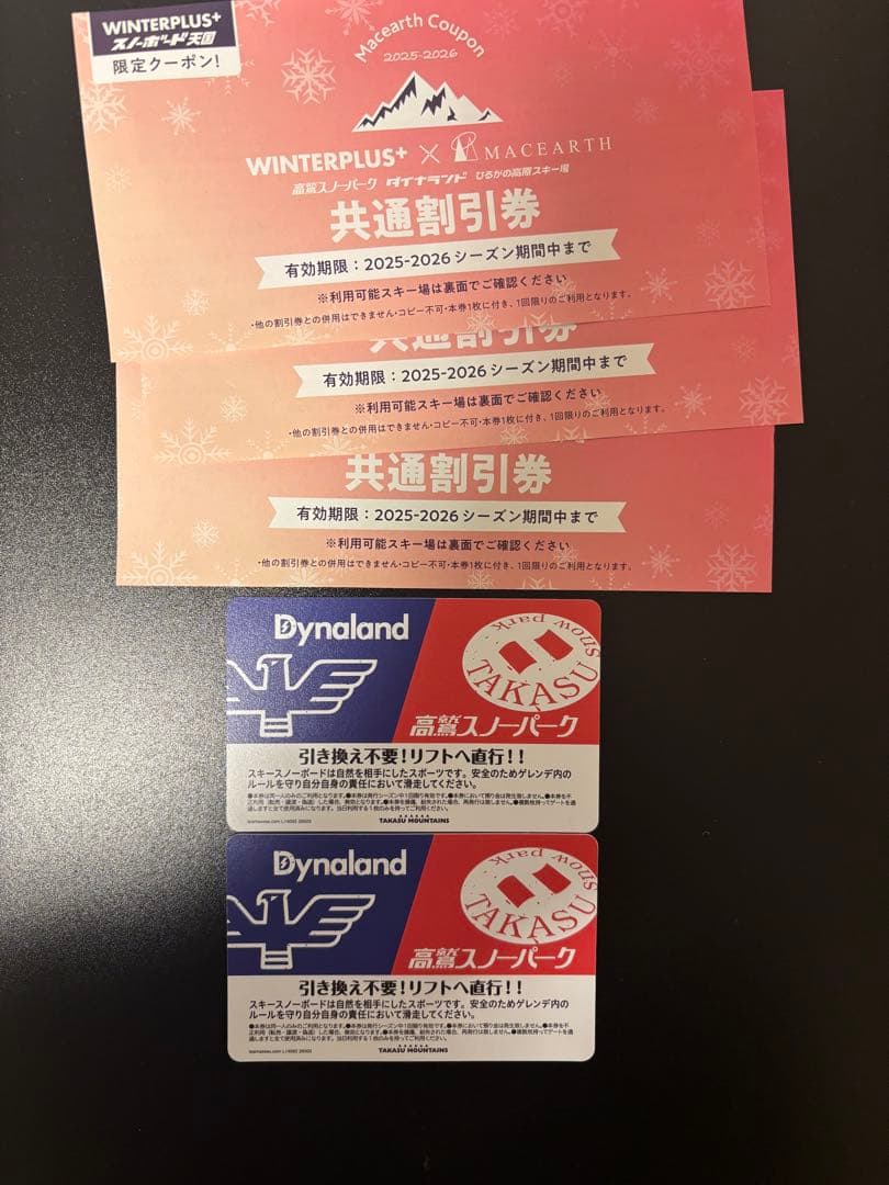 高鷲スノーパーク、ダイナランド 共通リフト券 - メルカリ