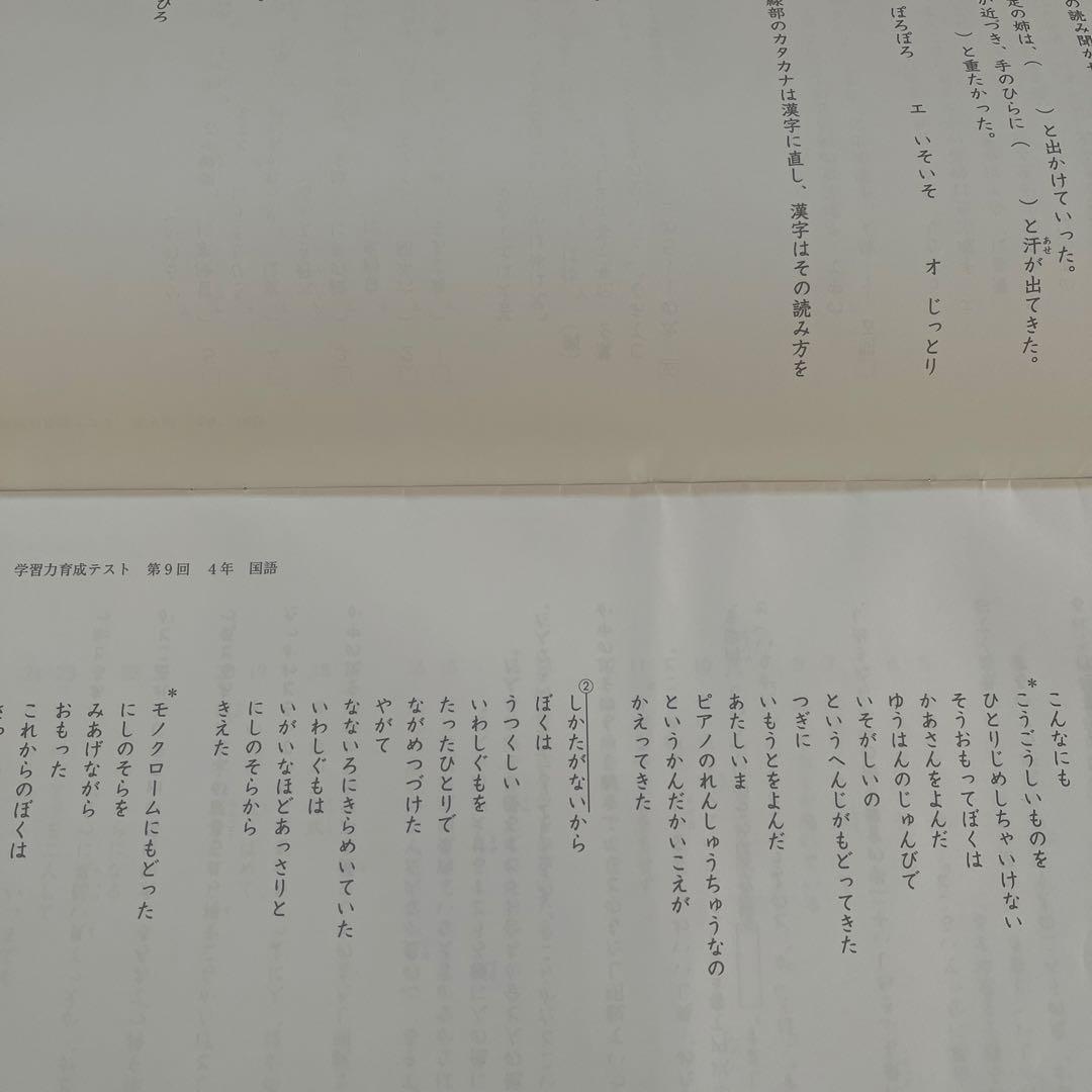 2025年 日能研 4年 ステージⅡ 育成テスト➈ - メルカリ