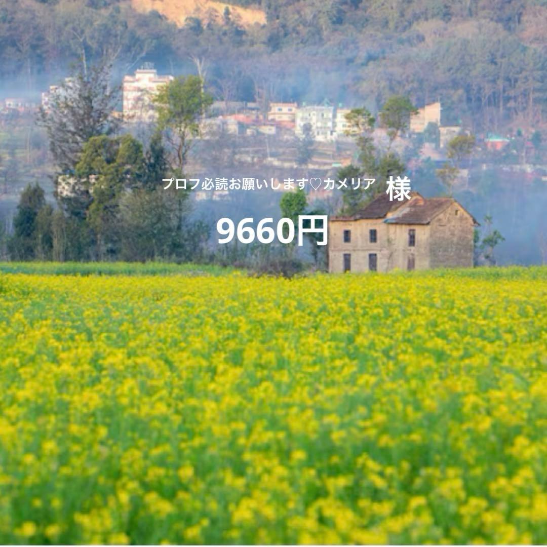 ありがとうございました♪ Delivery] The day has finally come. And I was shown my friend's Z1