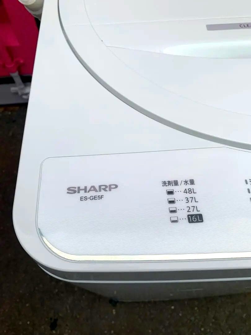 高年式SHARP 縦型洗濯機 5.5kg