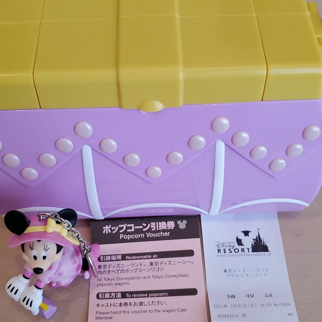 バケーションパッケージ ポップコーン引換券付 ディズニー