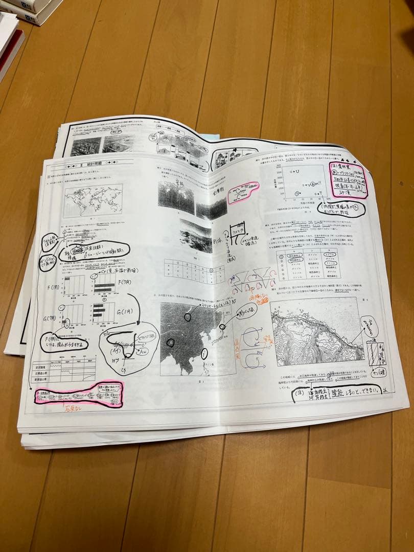 駿台 夏期講習 地理 読図・統計問題 岡田了一郎先生 - メルカリ