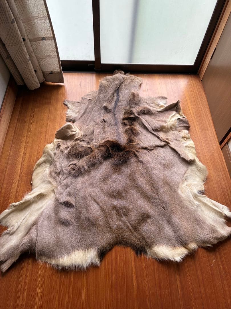 北海道産　鹿　毛皮　ラグ　マット　140×120 値下げ交渉あり 楽天市場】北海道産【鹿毛皮敷物（ラグマット）】毛付き鹿皮【送料無料