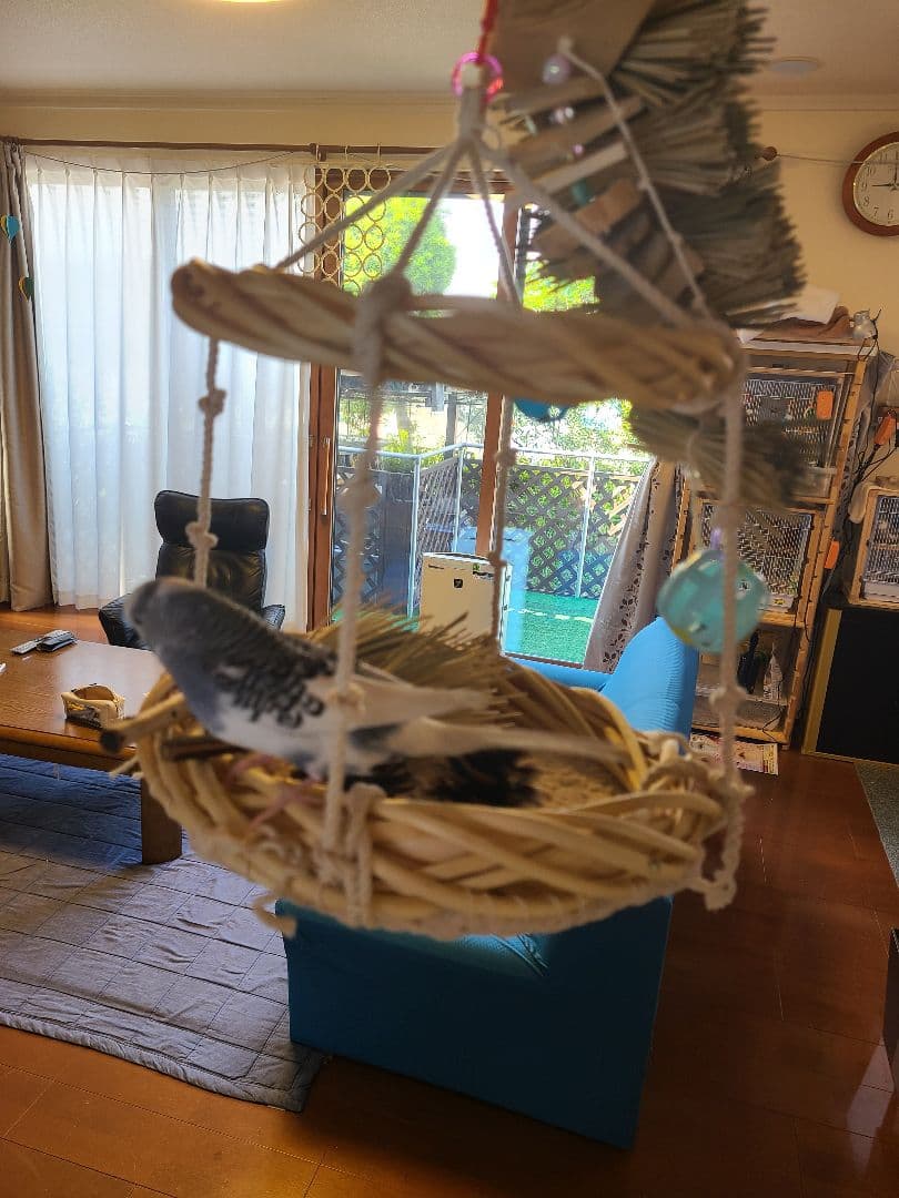 ④ Mont-Blanc＊　揺れるアスレチックLサイズ　6こ レイントレッカー ジャケット Men's｜モンベル