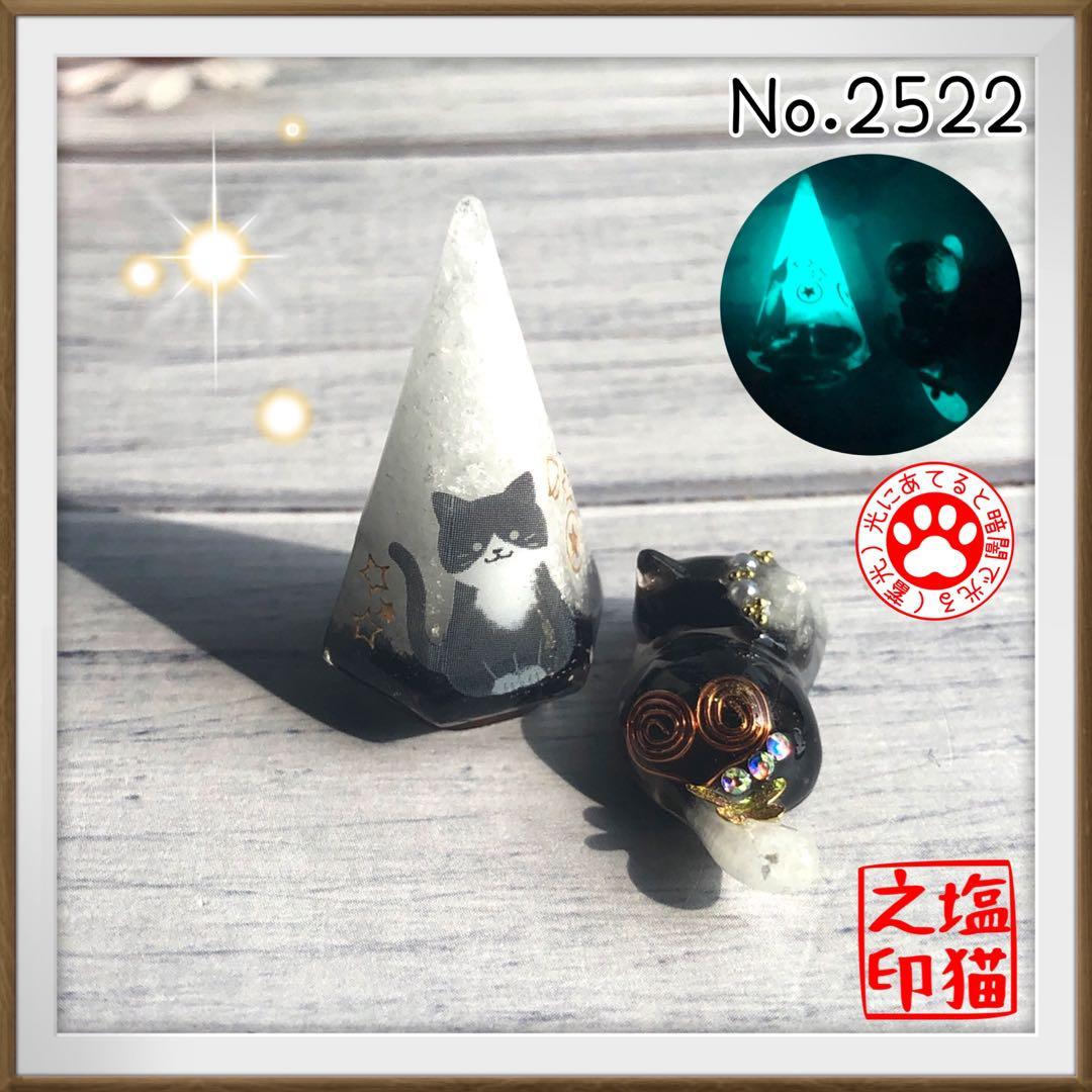 桔梗 サマ♡10点☆6/1