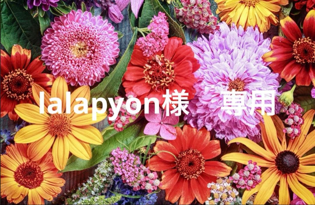 lalapyon Meade 80mm Triplet APO Refractor on LX85 GoTo Equatorial Mount