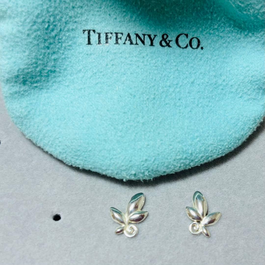 ティファニー TIFFANY&Co. シルバー925 ピアス オリーブリーフ 楽天市場】【ギフト品質】ティファニー Tiffany&Co ピアス オリーブ