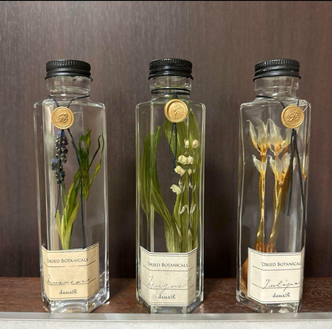 deuxRドライフラワー ハーバリウム 3本セット植物標本ボタニカルボトル ハーバリウムとドライフラワーボトルのアレンジ・ローズセット3♬ ハー