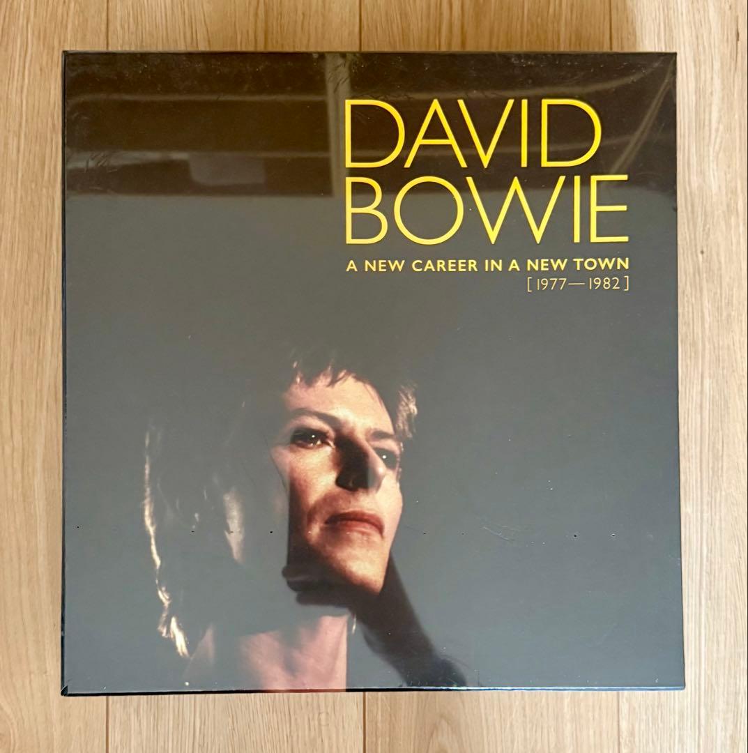 デヴィッド ボウイ BERLIN 13xLP レコードレアボックスセット 12