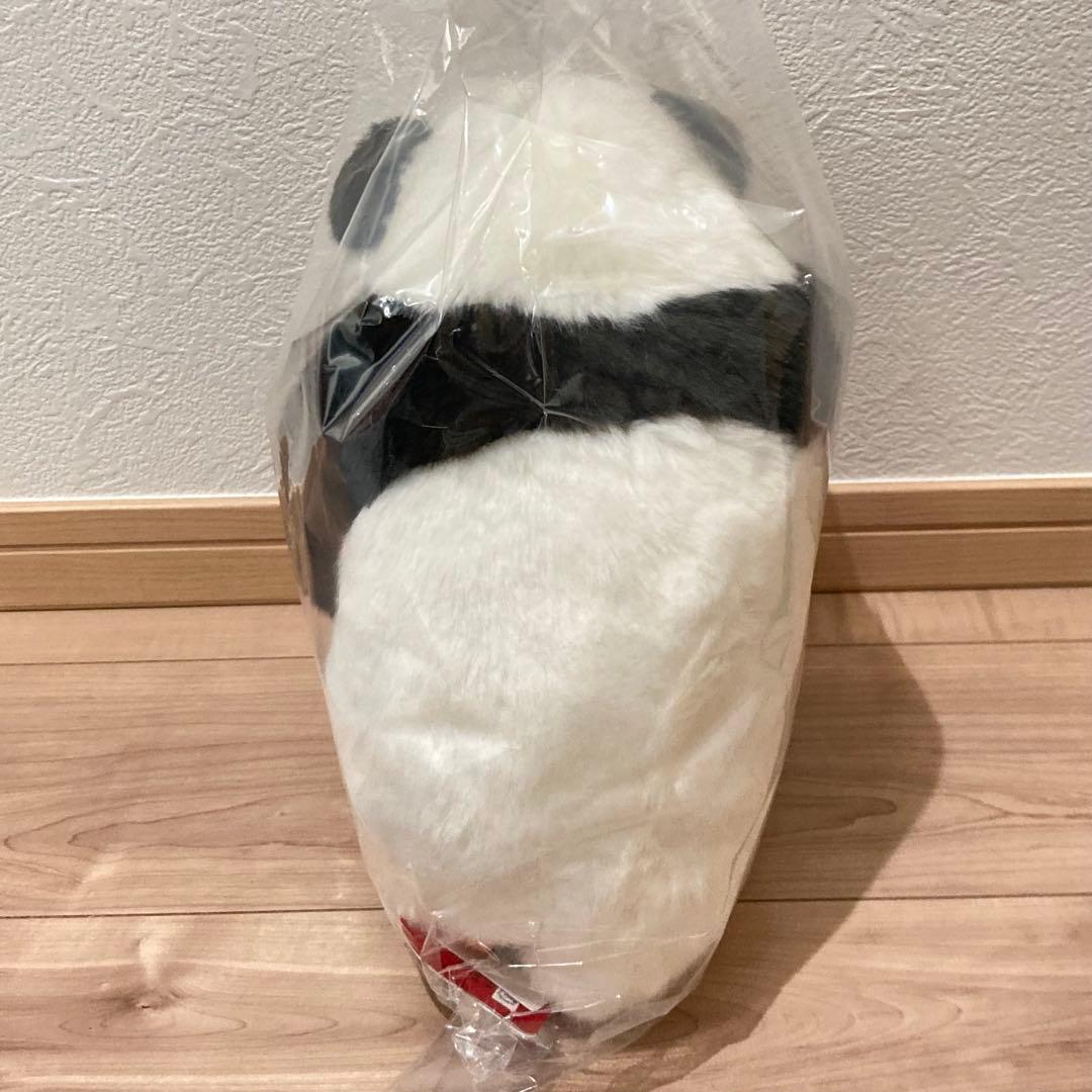 レイレイ 蕾蕾 ぬいぐるみ抱っこミニ 上野動物園 パンダ 新品未開封