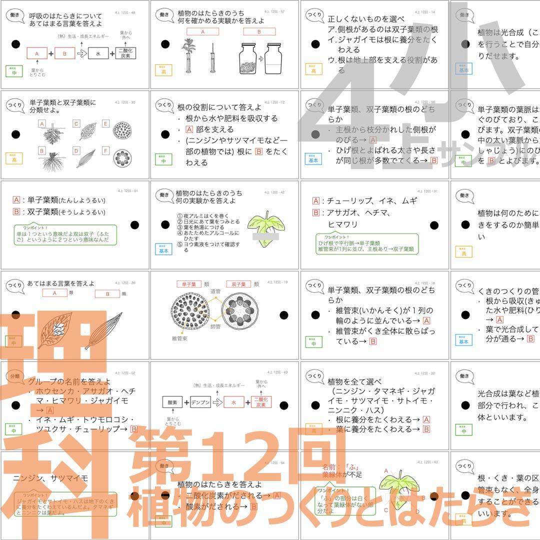 中学受験 暗記カード【4年上 理科 全セット 1-19回】組分けテスト対策