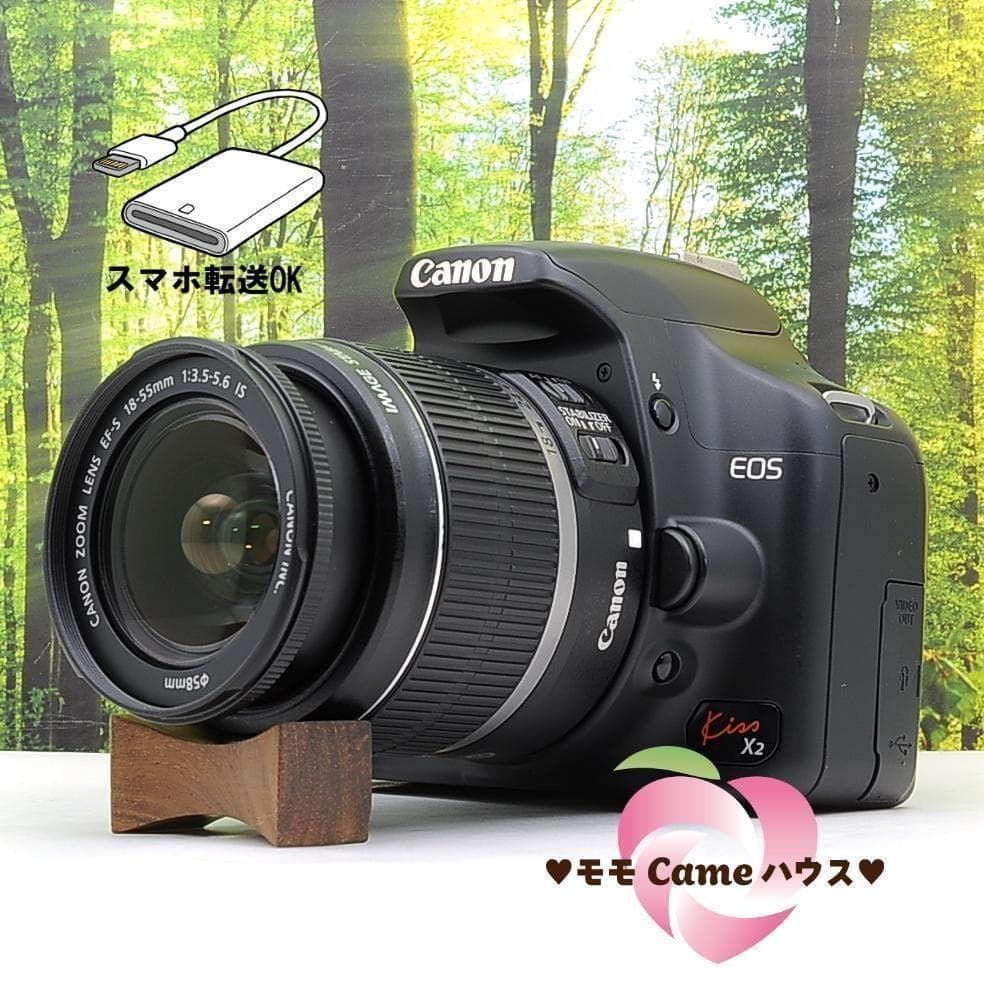 ショット数434枚！スマホ転送セット☆Canon Kiss X2 Wレンズセット
