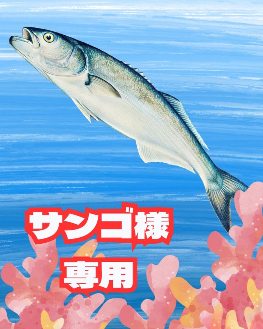サンゴ 楽天市場】（サンゴ）沖縄産 ブルースポンジ（1個） y−98 北海道