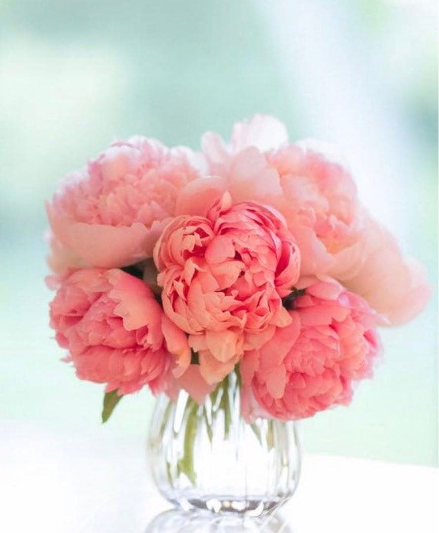 あー AR63831: Fuel Pump | Shop.Deere.com