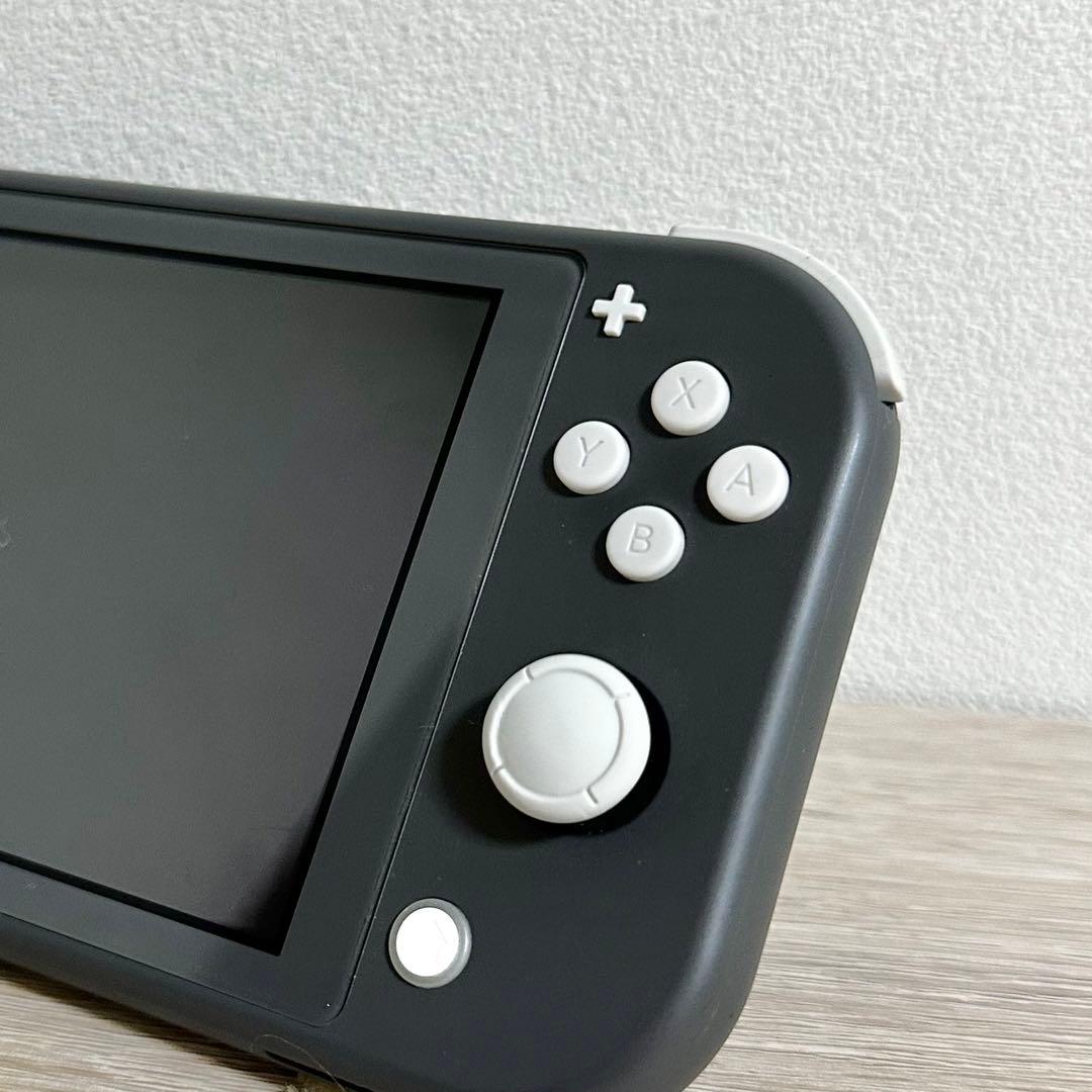 Nintendo Switch Lite 本体 充電器 スイッチ スイッチライトグレー
