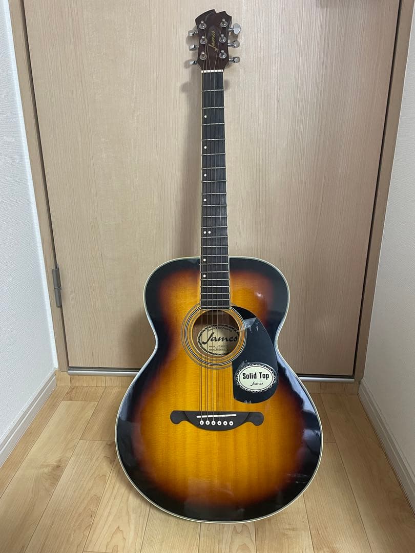 James JF350NA トップ単板アコースティックギター