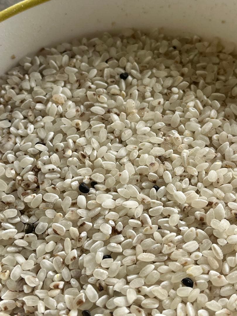 くず米 精米済 鳥のエサ 内容量20kg 国内産 全国送料込 10kgx2本