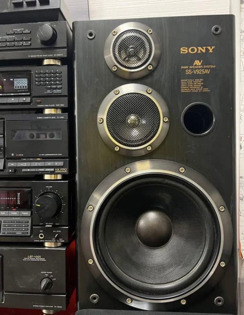希少内蔵BT取り付け可能SONYリバティLBT-V925中古品メンテナンス済み