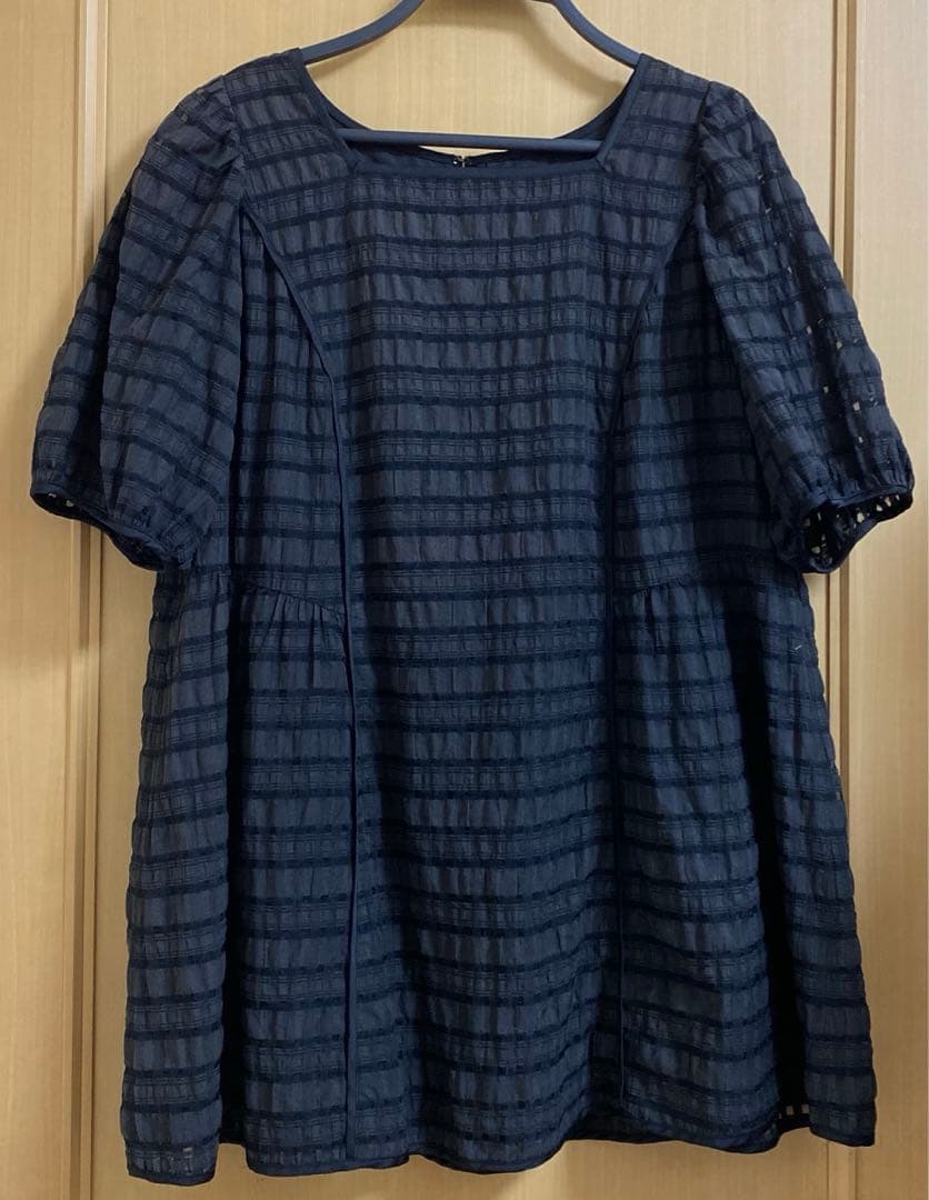 【Rose Tiara】シースルーチェックブラウス　ブラック　　サイズ46 シアープリーツフリルブラウス／ ドット（83032611A） | Rose