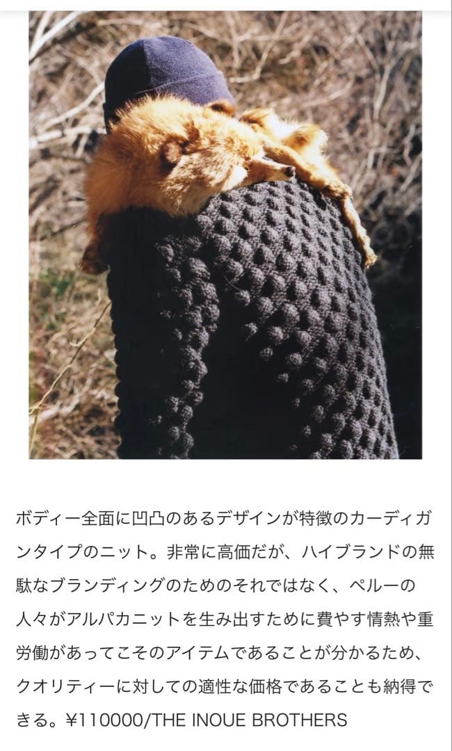 Gezi bee 様専用THE INOUE BROTHERS ロイヤルアルパカ - メルカリ