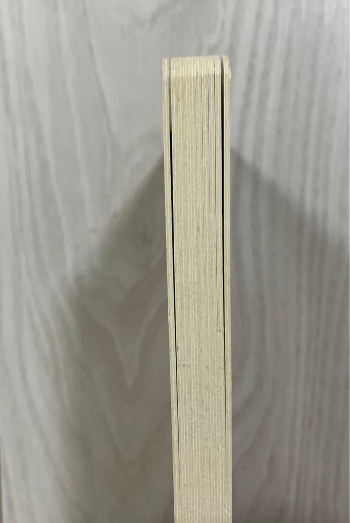 ポケモン金銀えほん『ヒノアラシとふしぎなあな』 - メルカリ