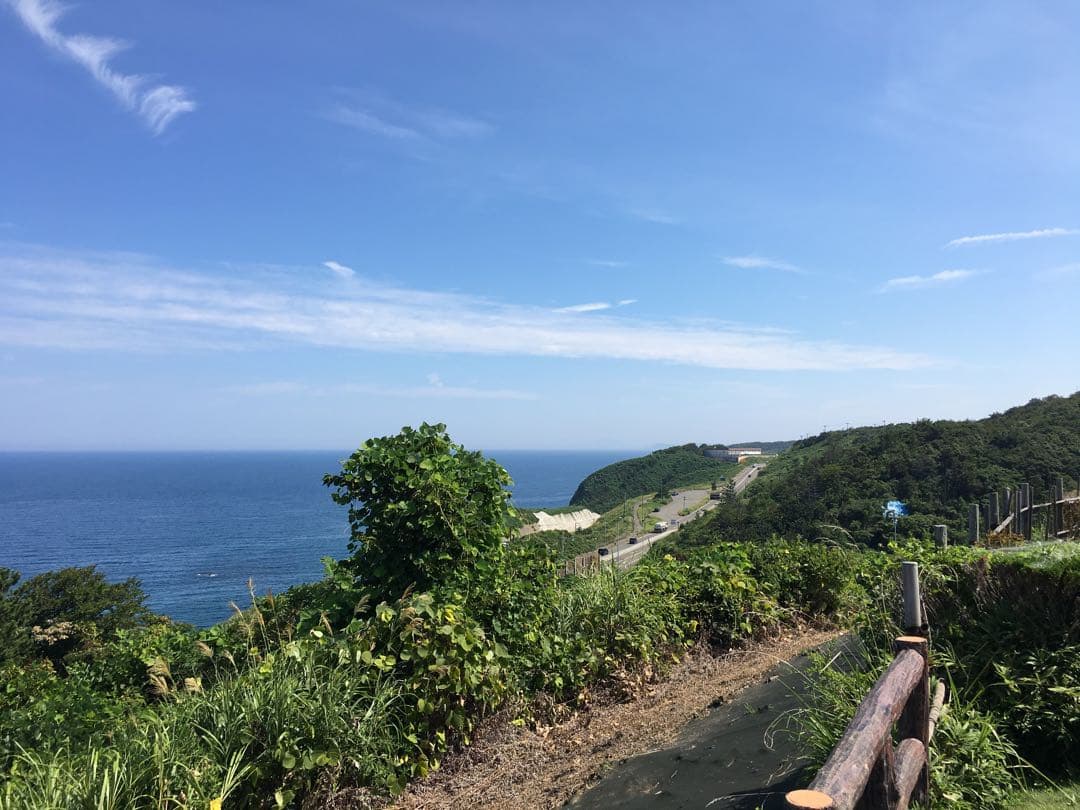 まどり