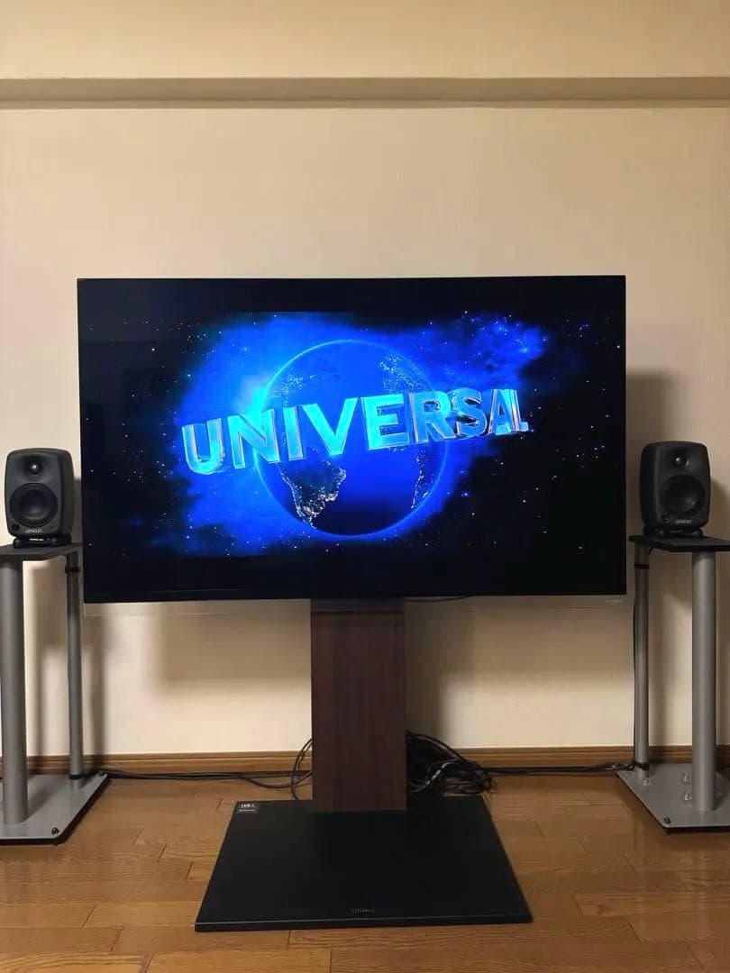 LG 有機EL 55 テレビ TV 本体 OLED55E9PJA プレミア LG 55インチ 4K 有機ELテレビ OLED55G3PJA | Costco Japan