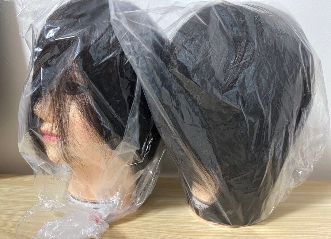 新品未使用】美容師国家試験 本番用カットウィッグ2体セット【送料込み