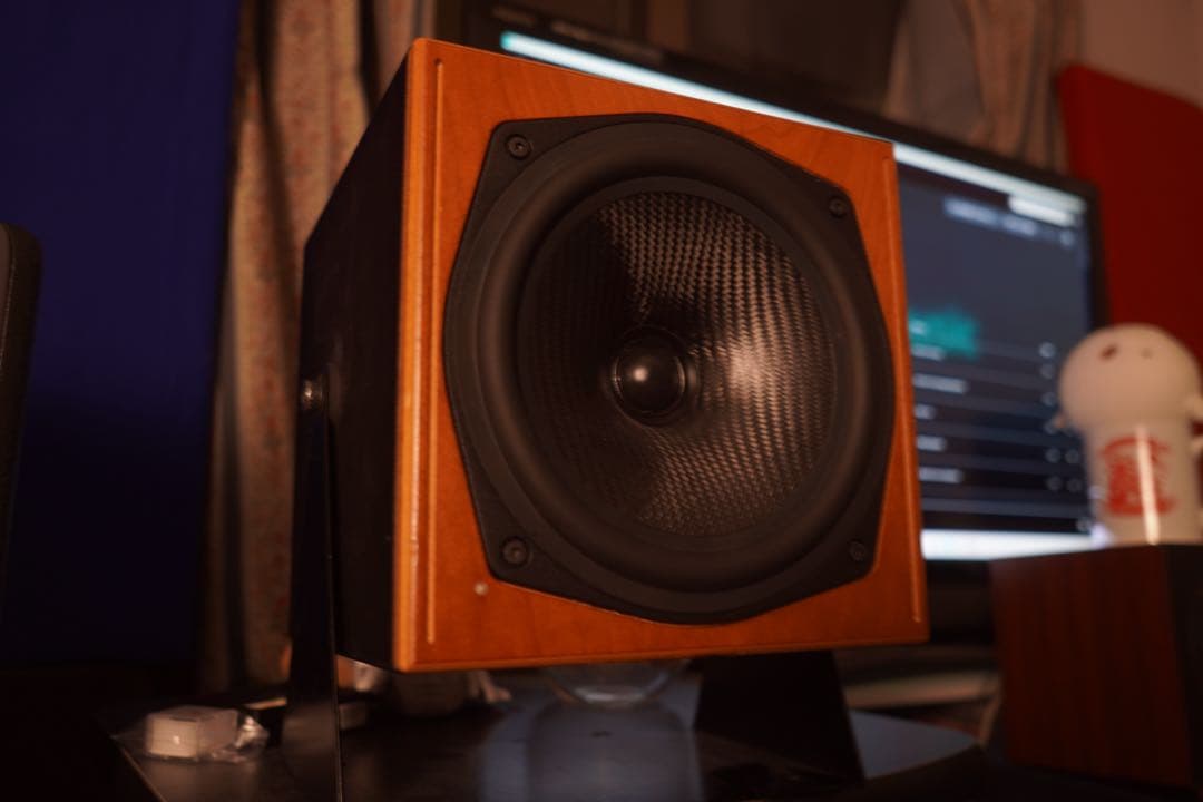 KS Digital c5 coax ペア　同軸モニタースピーカー Made in Germany 同軸パワード スピーカー KS Digital C5-Reference