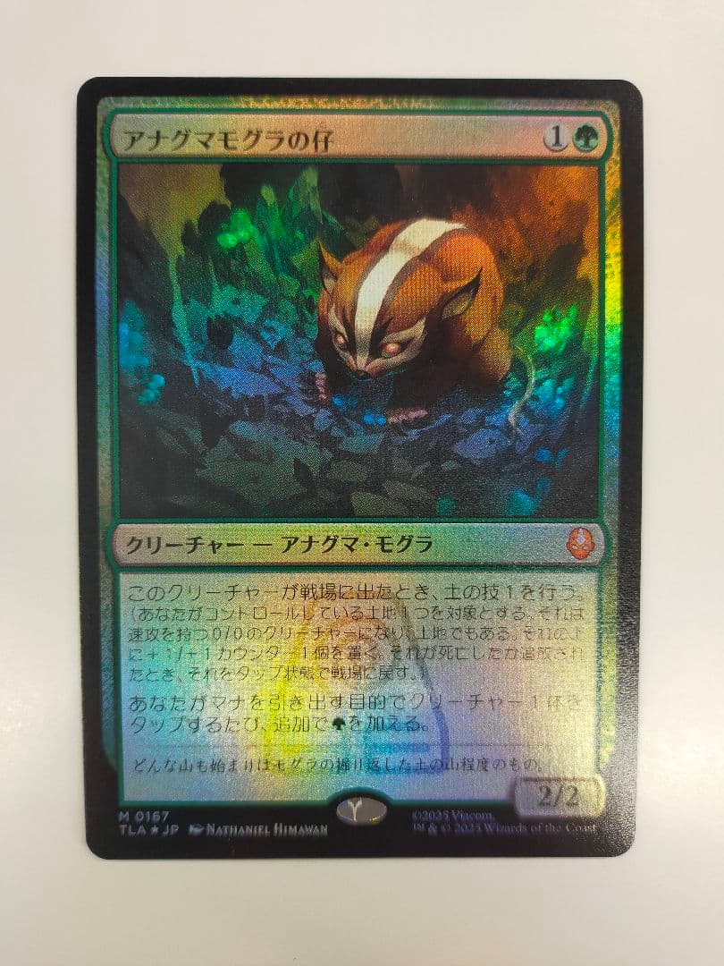 MTG アナグマモグラの仔 日本語foil FOIL)(フルアート)アナグマモグラの仔/Badgermole Cub《日本語》【TLA】
