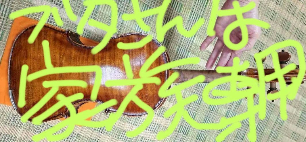 (エンリスク チェルティー 裏板のみ制作)のバイオリン チェロ メープル裏板材 | バイオリン・ビオラ・チェロ用材木,チェロ