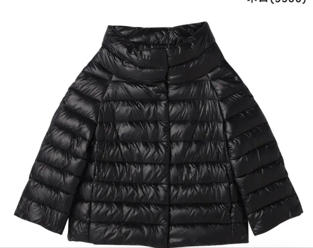 ヘルノダウンジャケット HERNO（ヘルノ） ダウンジャケット メンズ L'ESKIMO レスキモー 大人気