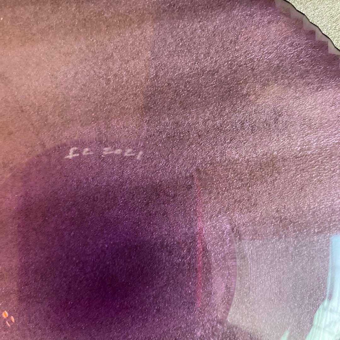 辻和美 factory zoomer ガラスプレート 皿 レインボー7枚セット