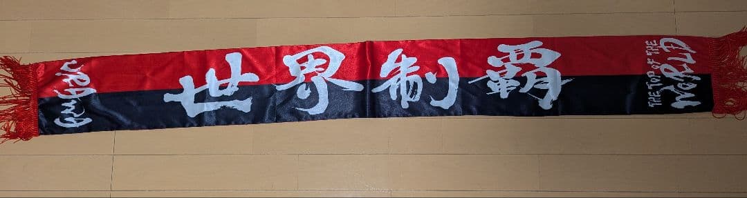 【tm】タオルマフラー SHOCKING NUTS TOUR タオル（マフラータオル）（SHOCKING NUTS TOUR