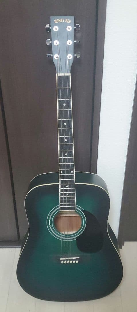 アコースティックギター グラデーショングリーン 音音 SFG-20 EBU アースブルー アコースティックギター オトオト