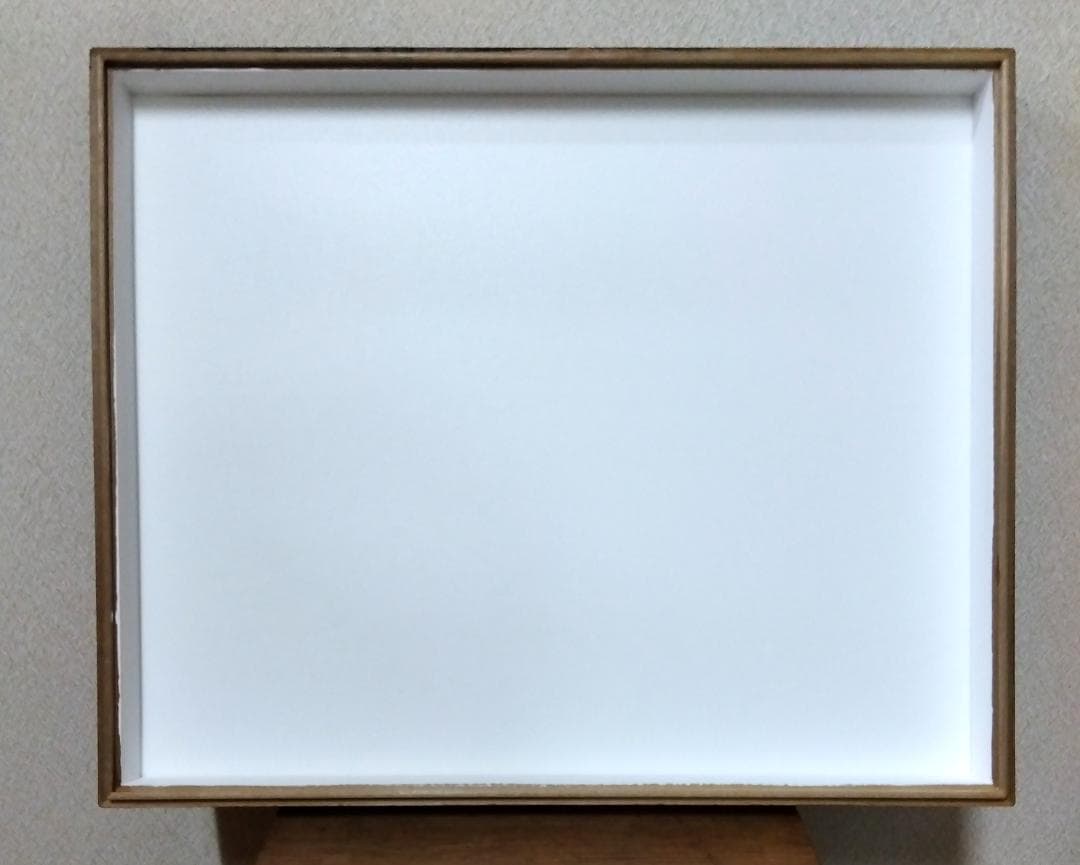大型ドイツ箱２箱セット（中古） 2026年最新】Yahoo!オークション -ドイツ標本箱の中古品・新品・未使用