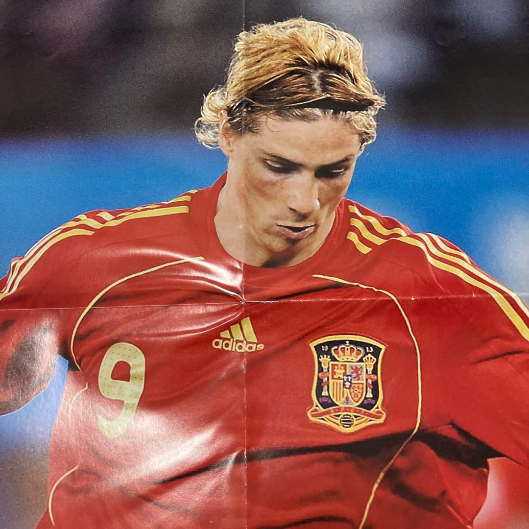 フェルナンドトーレス ユーロ2008チャンピオンスペイン代表ポスター1枚